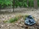Thumbs/tn_DSC01315.jpg
