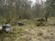 Thumbs/tn_DSC00450.jpg