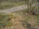 Thumbs/tn_DSC00452.jpg