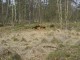 Thumbs/tn_DSC00456.jpg