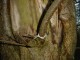 Thumbs/tn_DSC05437.jpg