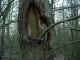 Thumbs/tn_DSC05438.jpg