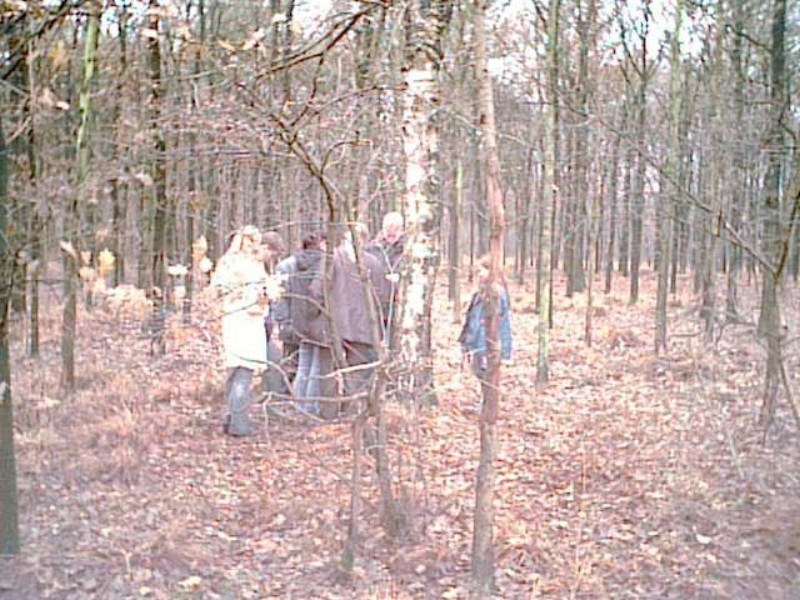 ../Images/PIC00003.jpg