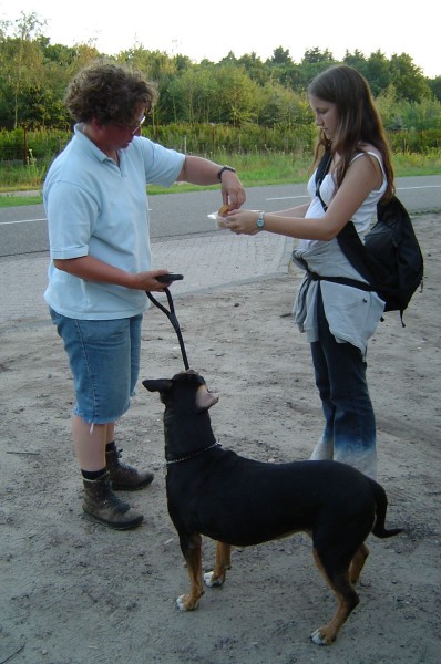../Images/Afbeelding02.jpg