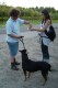 Thumbs/tn_Afbeelding02.jpg