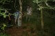 Thumbs/tn_Afbeelding08.jpg