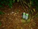 Thumbs/tn_image-3.jpg