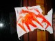 Thumbs/tn_DSC08216.jpg