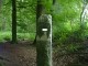 Thumbs/tn_DSC01777.jpg
