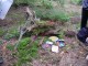 Thumbs/tn_DSC01786.jpg