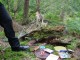 Thumbs/tn_DSC01789.jpg