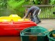 Thumbs/tn_DSC01798.jpg