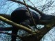Thumbs/tn_DSC05411.jpg