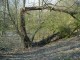 Thumbs/tn_DSC05412.jpg