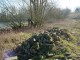 Thumbs/tn_DSC05417.jpg