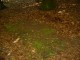 Thumbs/tn_DSC01360.jpg