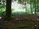 Thumbs/tn_DSC01361.jpg