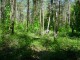 Thumbs/tn_DSC01365.jpg