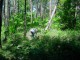 Thumbs/tn_DSC01366.jpg