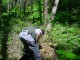 Thumbs/tn_DSC01367.jpg