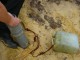 Thumbs/tn_DSC01826.jpg