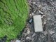 Thumbs/tn_DSC08390.jpg