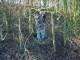 Thumbs/tn_DSC08391.jpg
