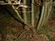 Thumbs/tn_DSC08439.jpg