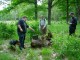 Thumbs/tn_DSC01500.jpg