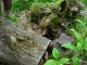 Thumbs/tn_DSC01502.jpg