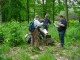 Thumbs/tn_DSC01503.jpg