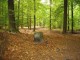 Thumbs/tn_DSC01504.jpg