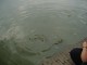 Thumbs/tn_DSC01512.jpg