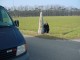 Thumbs/tn_DSC05202.jpg
