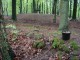 Thumbs/tn_DSC00739.jpg