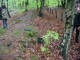 Thumbs/tn_DSC00743.jpg