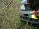 Thumbs/tn_DSC00334.jpg