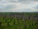 Thumbs/tn_DSC00343.jpg