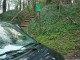 Thumbs/tn_DSC00345.jpg
