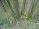Thumbs/tn_DSC00355.jpg