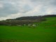 Thumbs/tn_DSC00361.jpg
