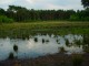 Thumbs/tn_DSC07618.jpg