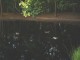 Thumbs/tn_DSC07625.jpg