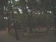 Thumbs/tn_DSC07633.jpg