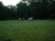 Thumbs/tn_DSC07635.jpg