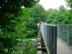 Thumbs/tn_DSC07883.jpg