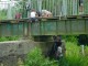 Thumbs/tn_DSC07916.jpg