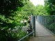 Thumbs/tn_DSC07924.jpg