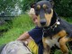 Thumbs/tn_DSC07953.jpg