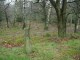 Thumbs/tn_DSC00267.jpg